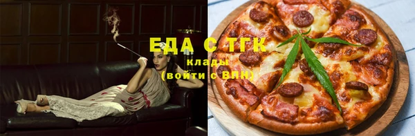 мдпв Богородицк
