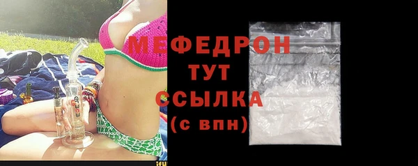 мдпв Богородицк